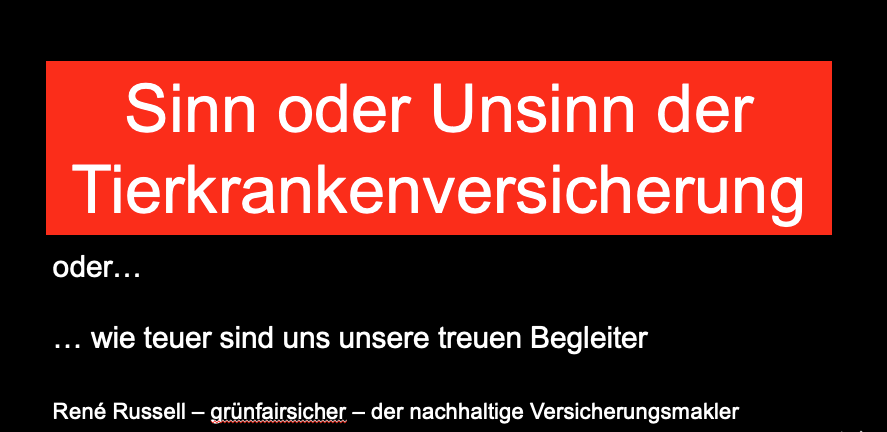 Wie sinnvoll ist eine Tierkrankenversicherung